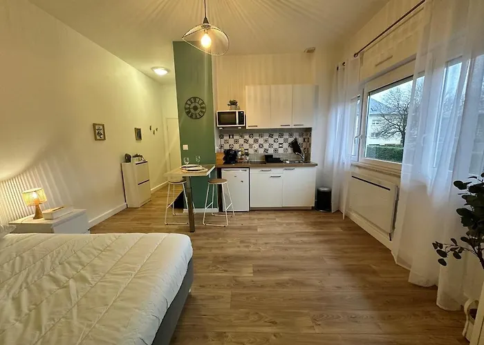 아파트 Le Petit Verdier Mosellan - - 2p *